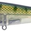 River2Sea ICBM 120 Hard Stickbait/Glidebait