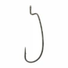 Berkley Fusion19 Offset Worm Hook