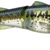 Chasebaits Drunken Mullet 95/130 Topwater Prop Lure