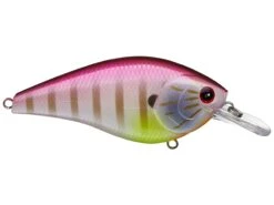 Lucky Craft SKT 110 Mag MR Deep Diving Squarebill Crankbait