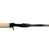 Dobyns Champion Extreme HP Casting Rods