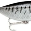 Storm Original Thinfin 08 Shallow-Medium Diving Crankbait
