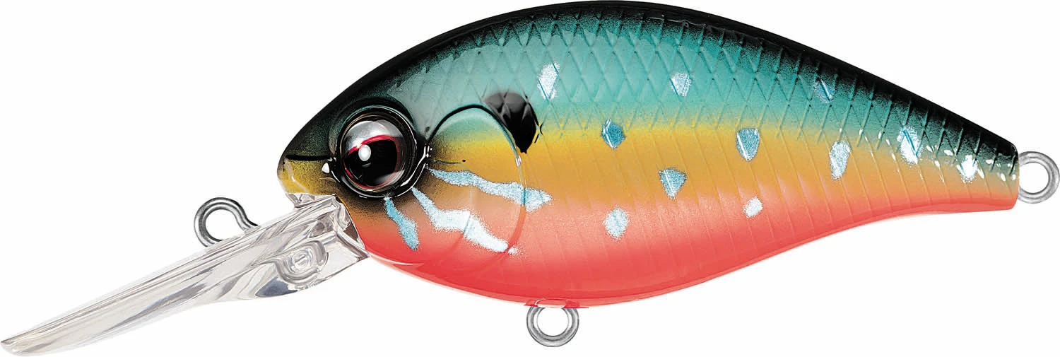 Evergreen International CR-6 Medium Diving Crankbait - Image 14