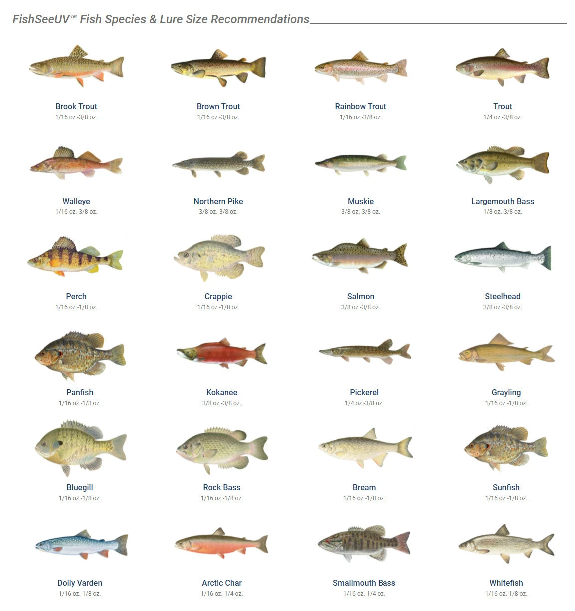 Panther Martin FishSeeUV Ultra Violet 3 Pack Spinner Kit - Image 2