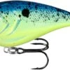 13 Fishing Warthog Squarebill Crankbait