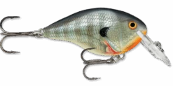 Rapala DT Series Crankbait DT4