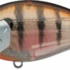 Evergreen International SH-3 Shallow Squarebill Crankbait